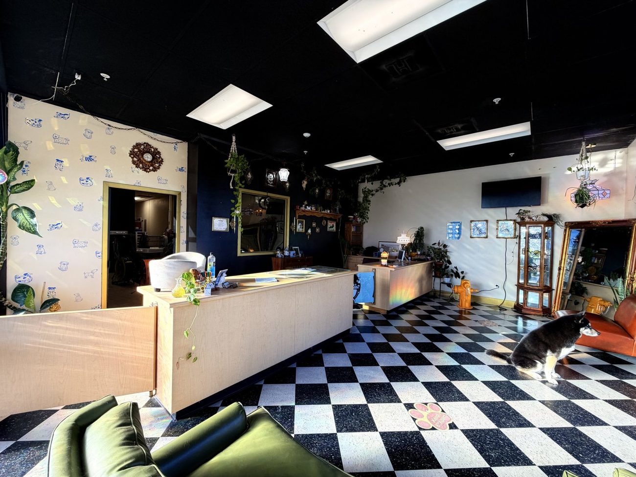 The cozy, eclectic U Dirty Dawg lobby with checkerboard floors
