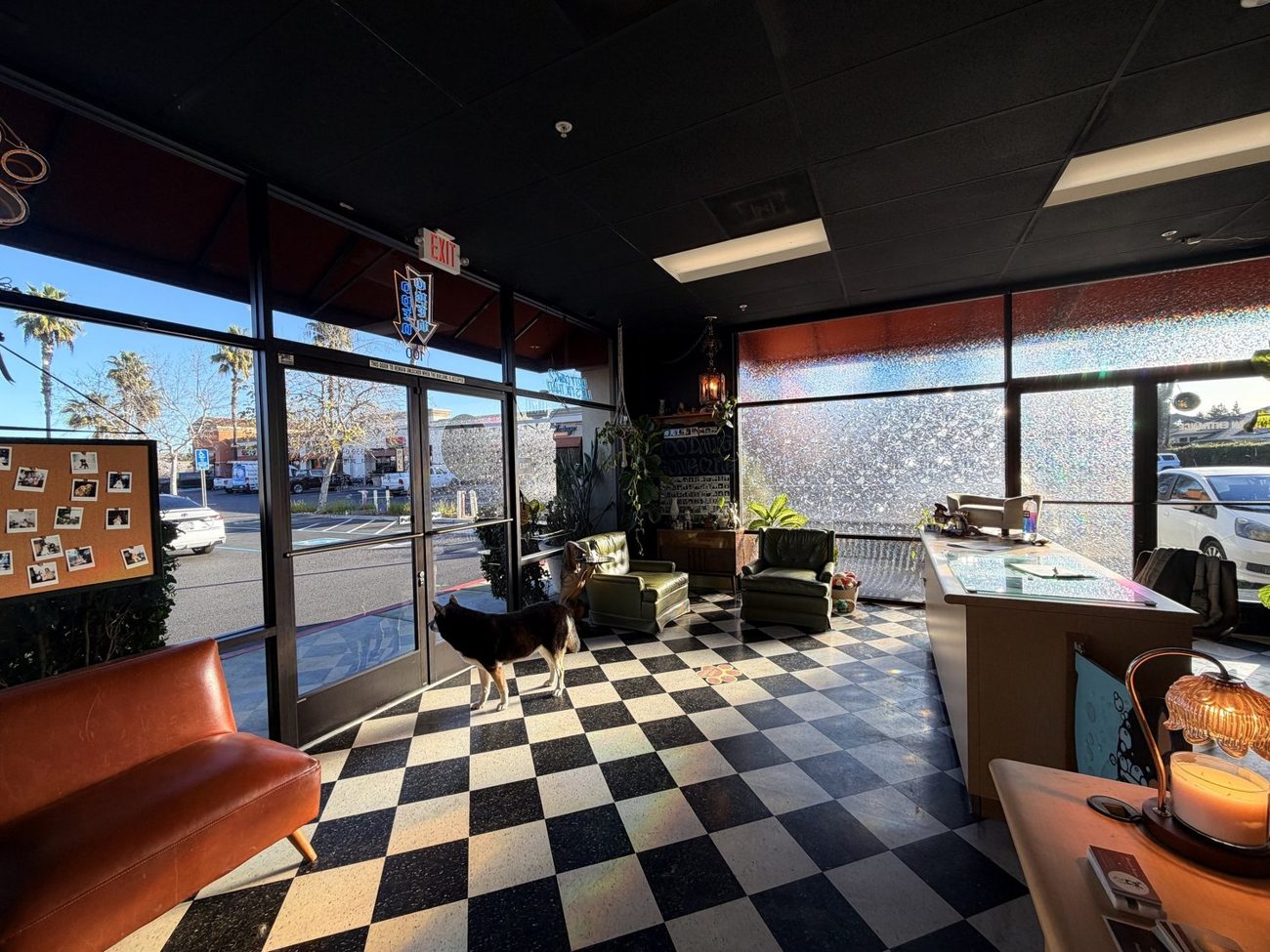 The bright, eclectic U Dirty Dawg storefront lobby